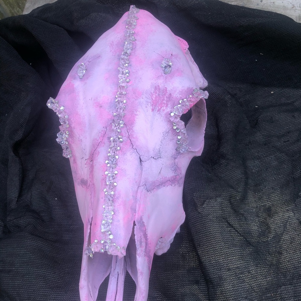 HandPainted CowSkull